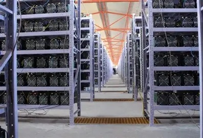 Large-scale mining farm utilizing high-performance hydro-cooled miners