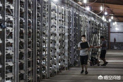 A sprawling mining farm housing rows of mining rigs with blinking LEDs