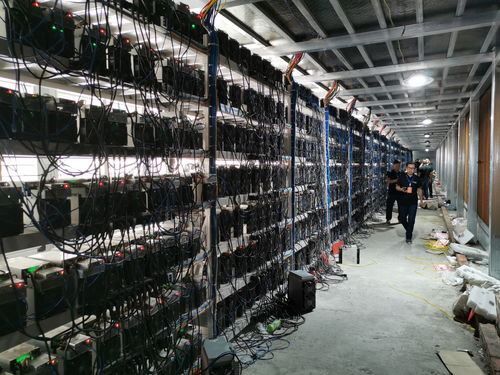 Heidelberg green-powered mining farm with solar panels and cooling units