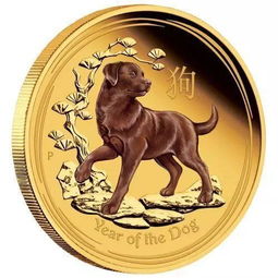 A vibrant image of Dogecoin mining rigs in action, highlighting the community-driven spirit of DOGE